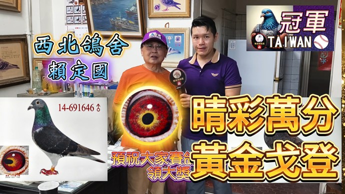 messageImage 1750019778493WEB