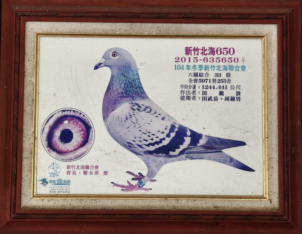 2015 635650冬新竹北海33位