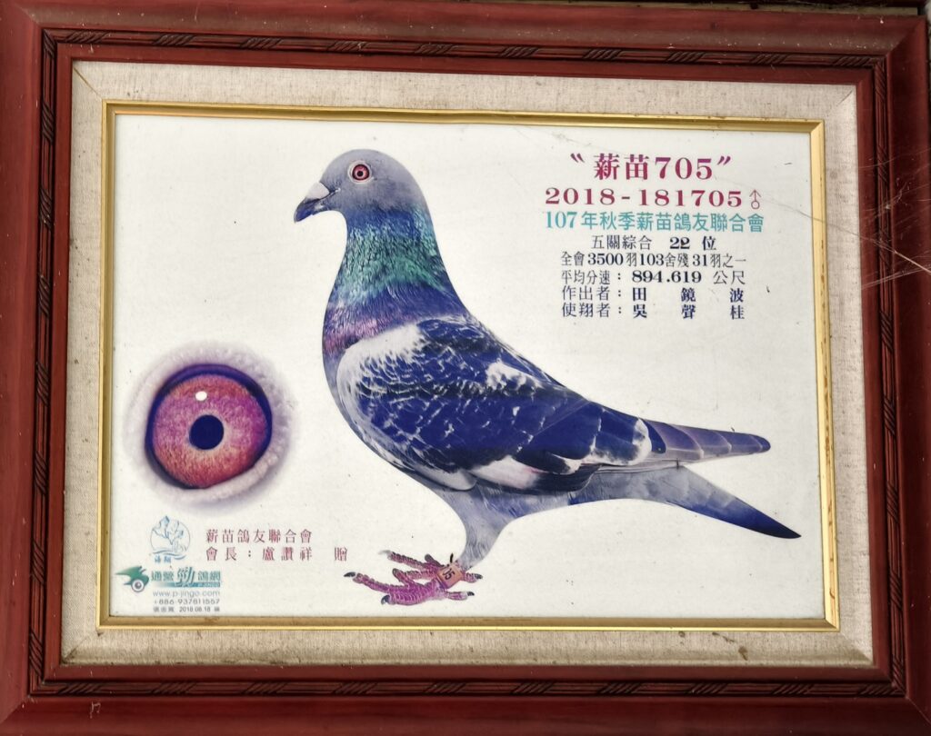 2018 181705冬薪苗22位