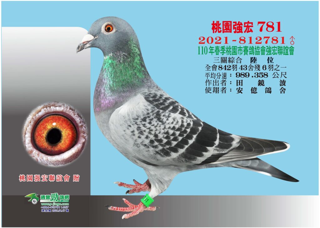 2021 812781薪苗伯馬6羽之1