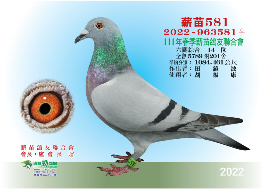 2022 963581春六關綜合14位