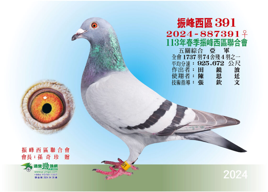 2024 887391春振峰亞軍