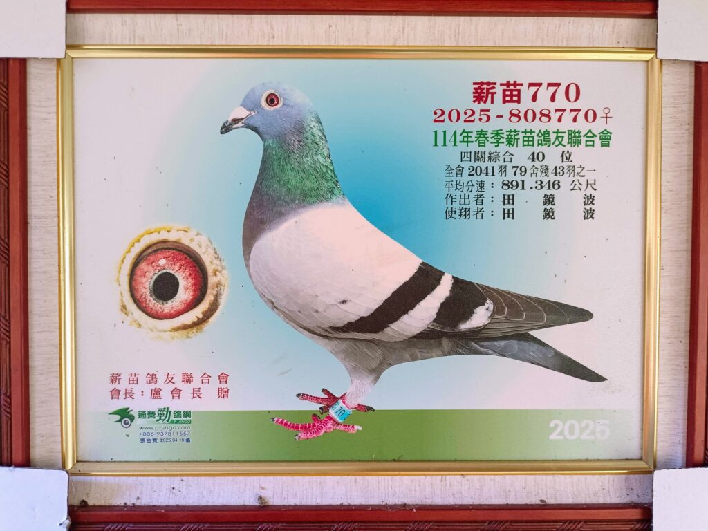 2025 808770薪苗40等