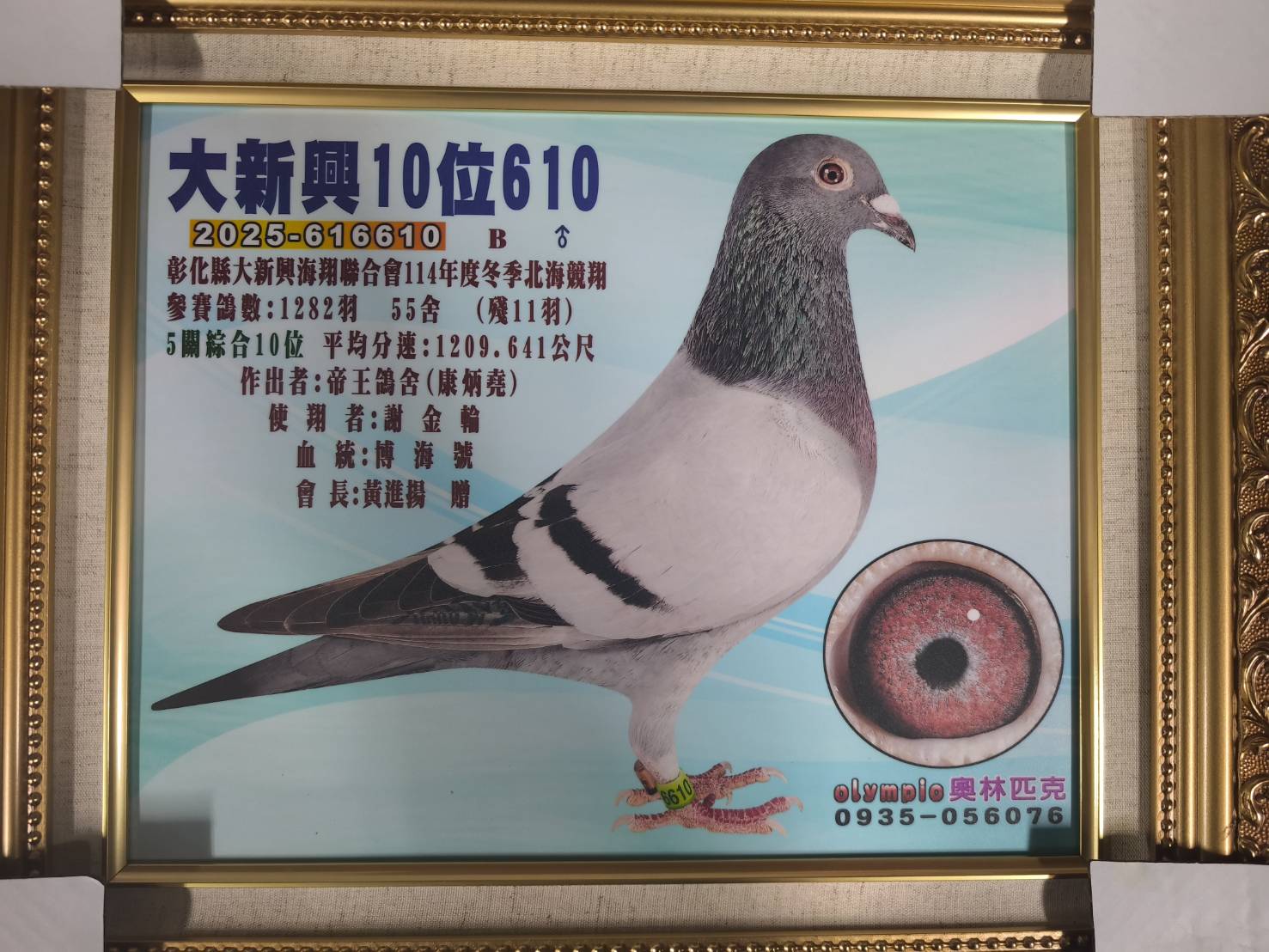 2025冬大新興五關綜合10位