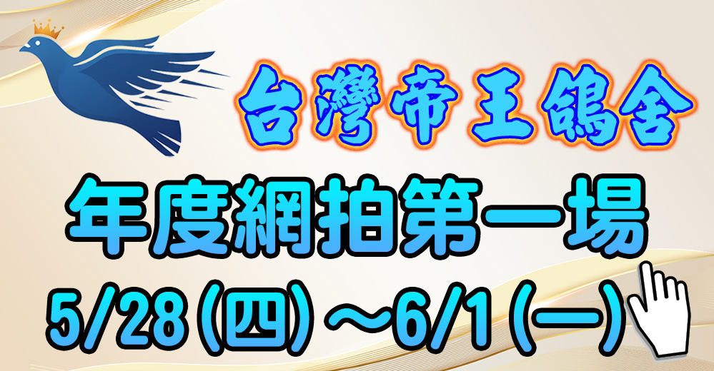 網拍第一場