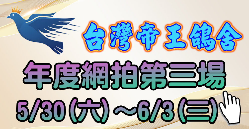 網拍第三場