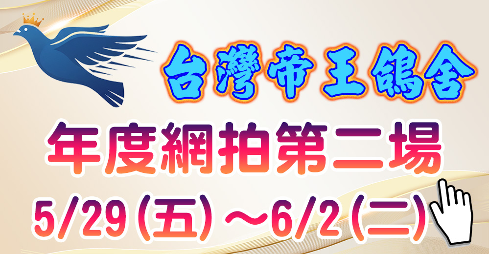 網拍第二場
